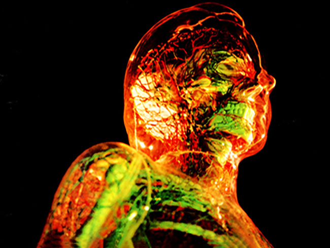 medical imaging of a woman making her look transparent
